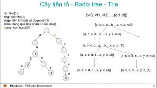 Ethereum là gì Phần 3 Ethereum patricia tree blockdev [upl. by Cece]