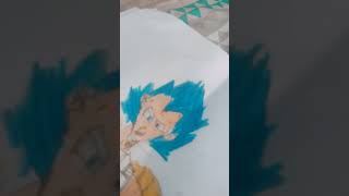 Vegeta vs kakarotto [upl. by Netsirhk]