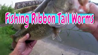 Pond Fishing with Ribbon Tail Worms Bass Fishing Tips [upl. by Ffirahs330]