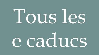 How to Pronounce Tous les e caducs All the e lapsed Correctly in French [upl. by Watson]