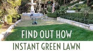 Painting Lawns in Texas for green grass [upl. by Zena]