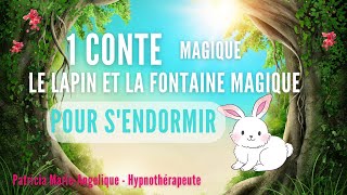 Histoire pour sendormir  Le Lapin et la Fontaine Magique  HISTOIRE POUR DORMIR [upl. by Ayt]