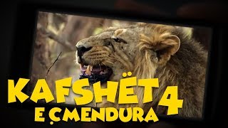 Kafshët e Çmendura  E4 [upl. by Einnig]