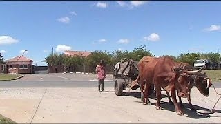 Qunu Ort von Mandelas Kindheit und seine letzte Ruhestätte [upl. by Esahc]