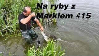 Na ryby z Markiem  15 Karpiowy przyłów sum 160 cm  wędkarstwo [upl. by Deth]