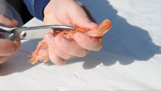 ShrimpsGarnelen putzen leicht gemacht  How to clean prawns [upl. by Elconin868]