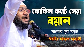 যে কন্ঠের জন্য পাগল কুমিল্লাবাসী  সুরের চমক দেখালেন  Shuaib Ahmed Ashrafi  শুয়াইব আহমদ আশ্রাফী [upl. by Einnej]