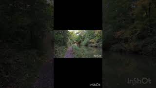 Basingstoke Canal reels love reelsshorts viralreels viralvideos trending sarvajitnm feed uk [upl. by Eelirol]