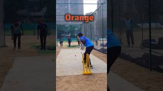 FUN🥰 Batting Drills  cricket practice Batting Drills cricket crickettechnique cricketlovers [upl. by Ferro]