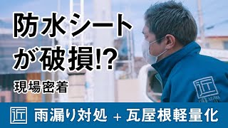 清瀬市｜築30年の瓦屋根の防水シートが破れた！軽量・瓦屋根で葺き替え [upl. by Kim]