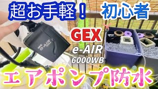 【メダカ】超お手軽エアーポンプ屋外の初心者防水🥹雨風対策☔エアレーション酸素gex eAIR 6000WBイーエアービオトープ めだか 飼育エアポンプジェックス [upl. by Gerhard41]