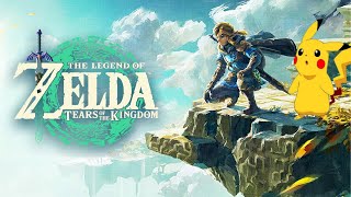 The Legend of Zelda Tears of the Kingdom  Trotz Hitze versuchen zu streamen [upl. by Winne]