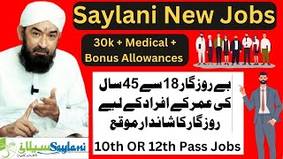 New Jobs Saylani Welfare Trust Karachi 2023 to 2024 [upl. by Aydan]