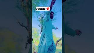 janan janan pashto song ❤️ [upl. by Keldah]