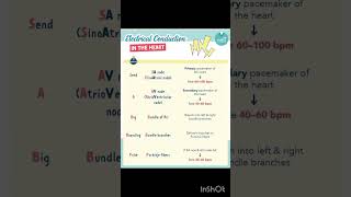 CARDIAC CONDUCTION SYSTEM IN LESS THAN A MINUTE 🫀❤️Nursing made easy nclexbiology [upl. by Rees]