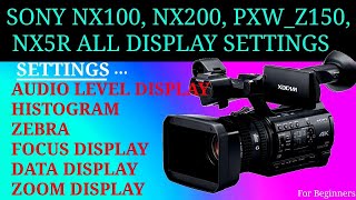 SONY NX200  NX100  PXW150  NX 5R DISPLAY SETTINGS  HISTOGRAM  ZEBRA  DATA  FOCUS SETTINGS [upl. by Anikahs]