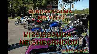 MISSISSAUGA NEIGHBORHOOD [upl. by Newbill821]