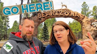 Explore Bearizona an Amazing Wildlife Park in Arizona [upl. by Corliss]