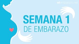 3 Semanas de embarazo  El embarazo semana a semana [upl. by Oihsoy]