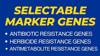 Selectable marker genes and their examples  Antibiotic and Herbicide resistance genes [upl. by Zoi896]