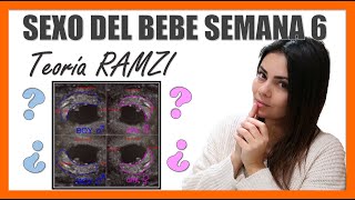 🤰♀️♂️ ¿Como saber el SEXO del BEBE en Primeras Semanas ¿Qué es la Teoria RAMZI ECOGRAFÍA Semana 6 [upl. by Ahsiekyt]