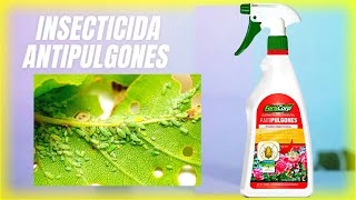 Insecticida Antipulgones Combate efectivamente los pulgones en tus plantas [upl. by Lasonde]