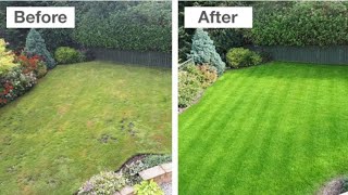 Lawn Grass Care For Lush Green Look How To Get Carpet Grass Best Fertilizer For Grass [upl. by Rains]