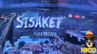 Discover the Enchanting World of Sisaket Aquarium A Tour You Wont Forget Sisaket Thailand [upl. by Nnahsal]