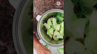 Amla ginger and coriander juice for hair and skin and constipation 🥰🥰 [upl. by Eelam]