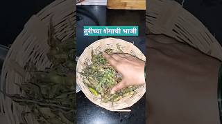 🤤कमी साहित्यात बनवा ओल्या तुरीच्या शेंगाची भाजीआमटी😋झटपट रेसिपीrecipecookingfood video youtube [upl. by Keon]