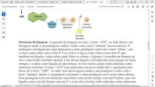 O ATP Adenosina Trifosfato é descrito como uma “moeda energética” por ser a molécula que fornece [upl. by Batty]