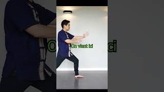 taichichuan taichi kungfu qigong respiration wushu taijiquan [upl. by Airlee]