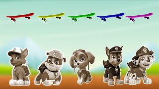 PAW Patrol  Get the right color skateboard to Save Skye Chase Rubble Marshall and Rocky [upl. by Rise]