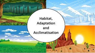 Habitat Adaptation amp Acclimatisation  Ch9  Living organisms amp their surroundingsScienceClass 6 [upl. by Eicyak]