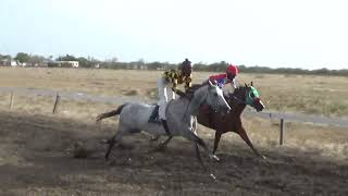 Barbuda 26 June 2022 Race 3 [upl. by Ynolem]