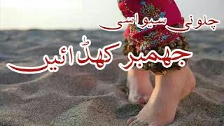 Talib Hussain Dard » Chalo ni sayoon asi jhumber khidayen [upl. by Oicirtap]