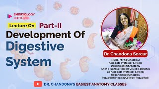 Lecture on development of the digestive system part II [upl. by Ursel]