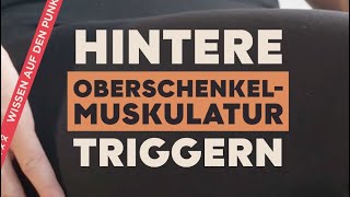 HINTERE OBERSCHENKELMUSKULATUR TRIGGERN shorts oberschenkel mobilitytraining [upl. by Nauwtna]