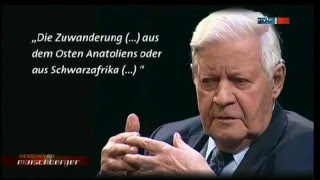 Helmut Schmidt über Einwanderung und Integration [upl. by Aicirtak]