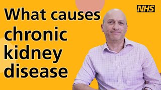 What causes chronic kidney disease [upl. by Towrey]