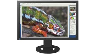 Eizo Foris FX2431  24in Monitor [upl. by Annaiel]