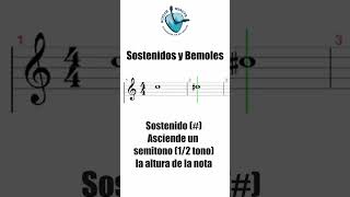 🎶 Sostenidos y Bemoles Notas Musicales 🎼 [upl. by Olrak]