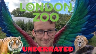 Is London zoo underrated I take a look full tour [upl. by Ttirrem]