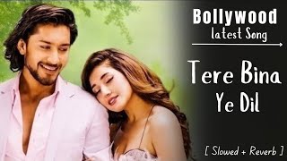 New Bollywood Song 🎶🥀 2024  Tere Bina Ye Dil  तेरे बिना ये दिल   Emotional Song [upl. by Ailime642]