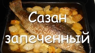 Как приготовить сазана в духовке простой рецепт сазана запеченного целиком в фольге с картошкой [upl. by Anele]