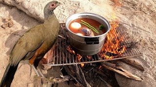 Caza y Cocina de CHACHALACA [upl. by Drarrej]