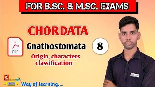 Gnathostomata Origin character and classification  Class8 For Bsc and MSc By Ajay kumar [upl. by Etiam]