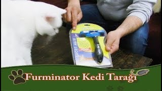 Furminator Kedi Tarağı incelemesi [upl. by Holly-Anne]