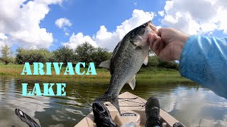 Fishing For Bass At Arivaca Lake Az  These Fish Are THICK [upl. by Ragse756]