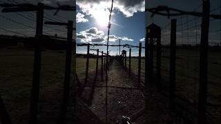 Konzentrationslager Lublin 19411944 worldwar2 history poland travel shorts shortsvideo war [upl. by Iram]